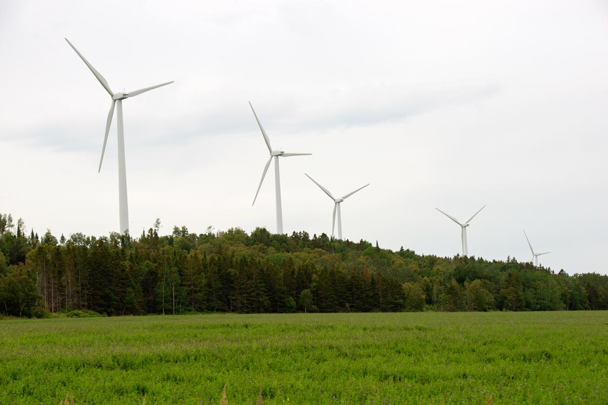 Champs et éoliennes - Translittoral